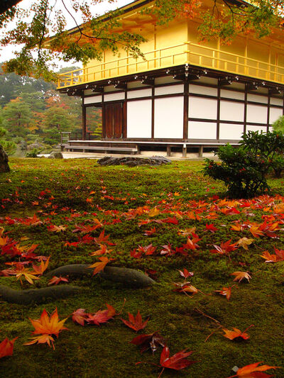Kinkaku-ji